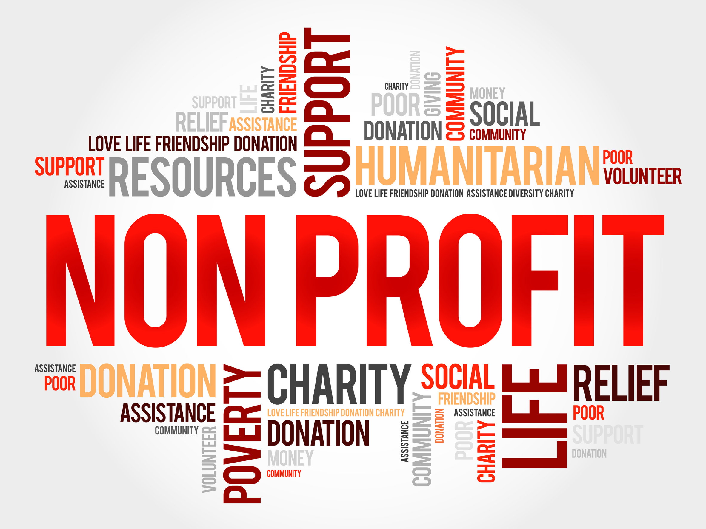 case study for non profit organization